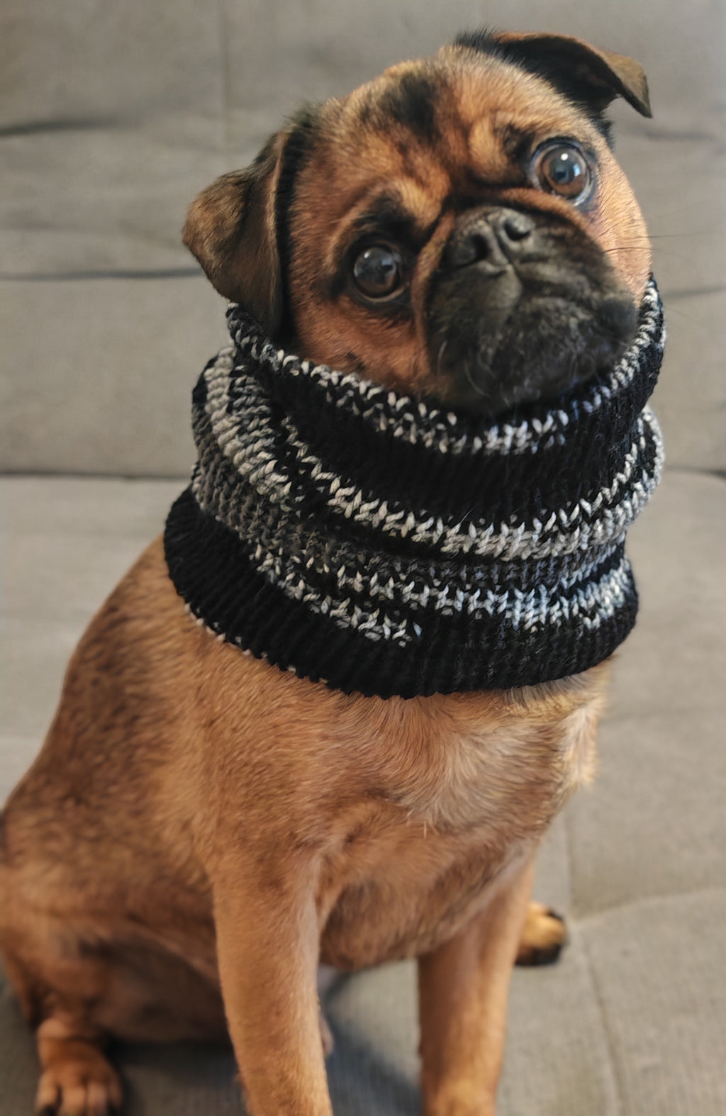 Handgestricktes Partnerlook Set – Mütze, Schal & Hundeloop | Handmade Winterset Unikat