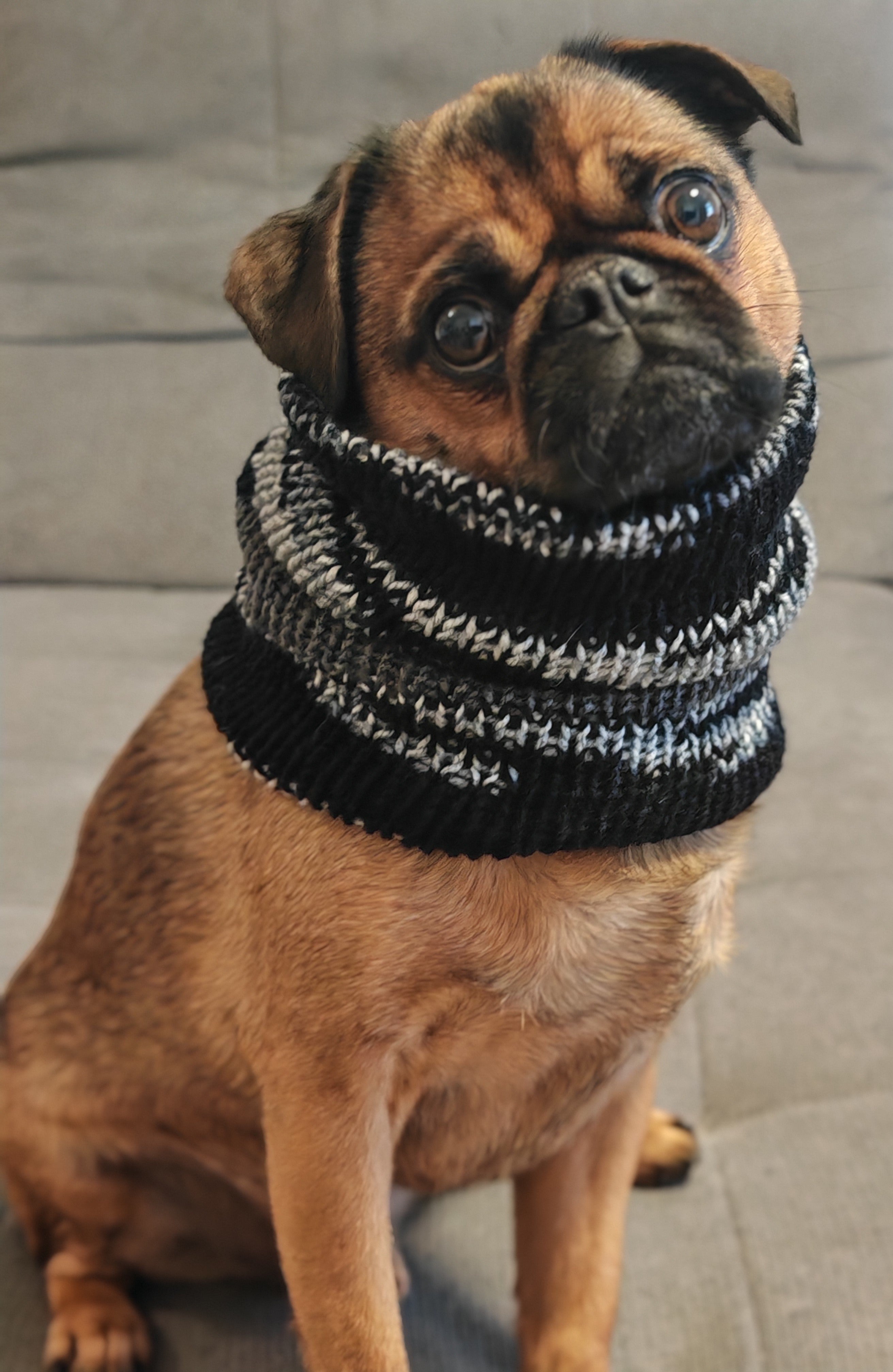 Handgestricktes Partnerlook Set – Mütze, Schal & Hundeloop | Handmade Winterset Unikat